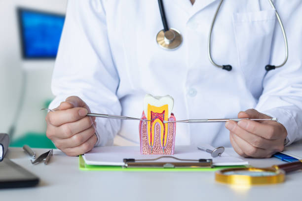 Best Emergency Broken Tooth Repair in Chicago, IL